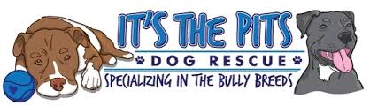 it's the pits dog rescue specializing in the bully breeds