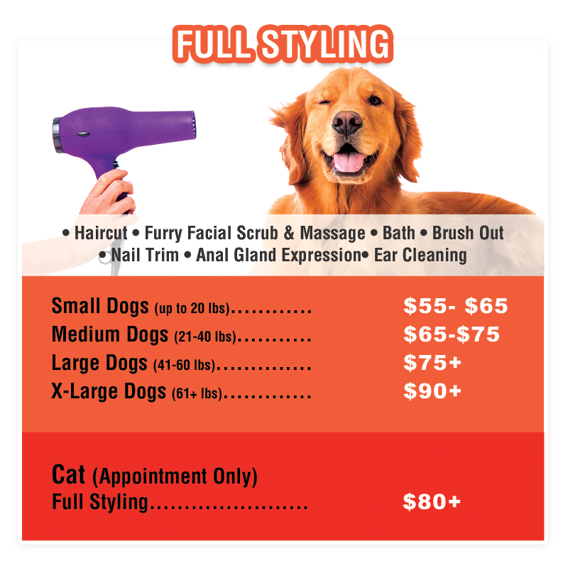 Pet Grooming San Marcos Sydnee S Pet Grooming Franchise