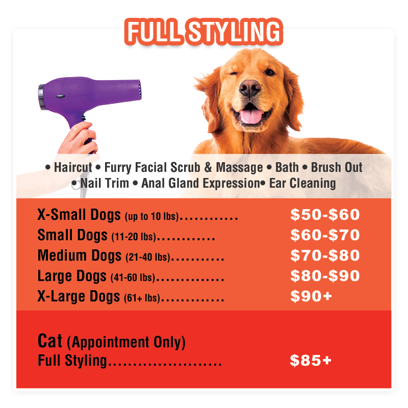 Pet Grooming Mission Viejo Sydnee's Pet Grooming Franchise