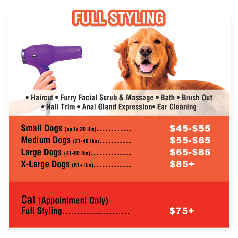 dog haircut price