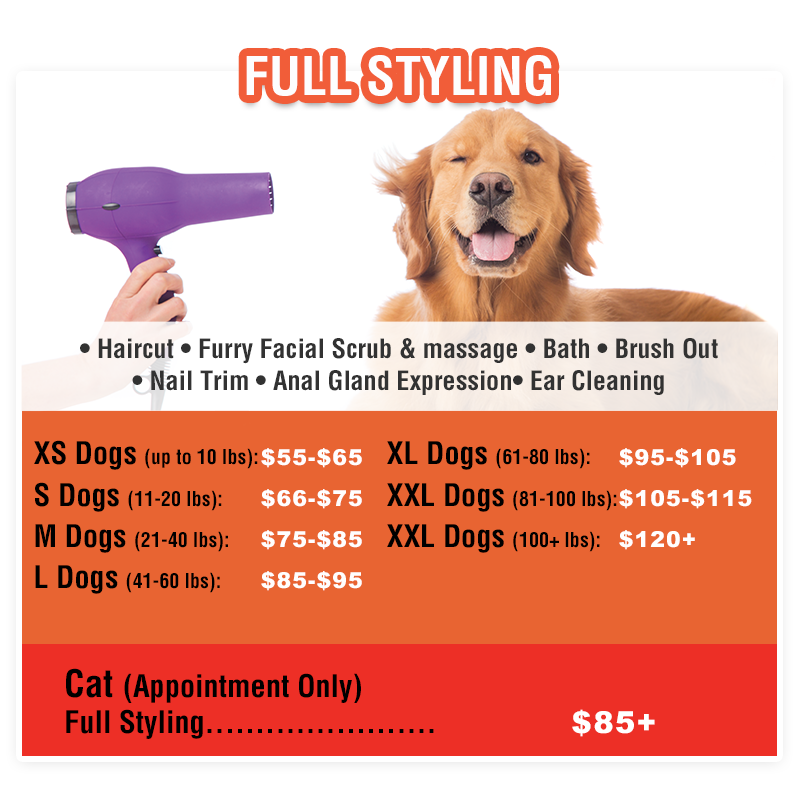 Pet Grooming Huntington Beach Sydnee's Pet Grooming